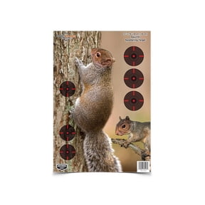 BIRCHWOOD CASEY Pregame 12" x 18" Squirrel Targets - Realistic Instant Splattering Shooting Targets - For Use with All Guns & Calibers - 8 Targets Pack