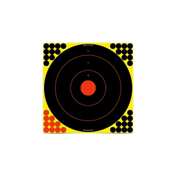Birchwood Casey Shoot-N-C Targets: Bull's-Eye