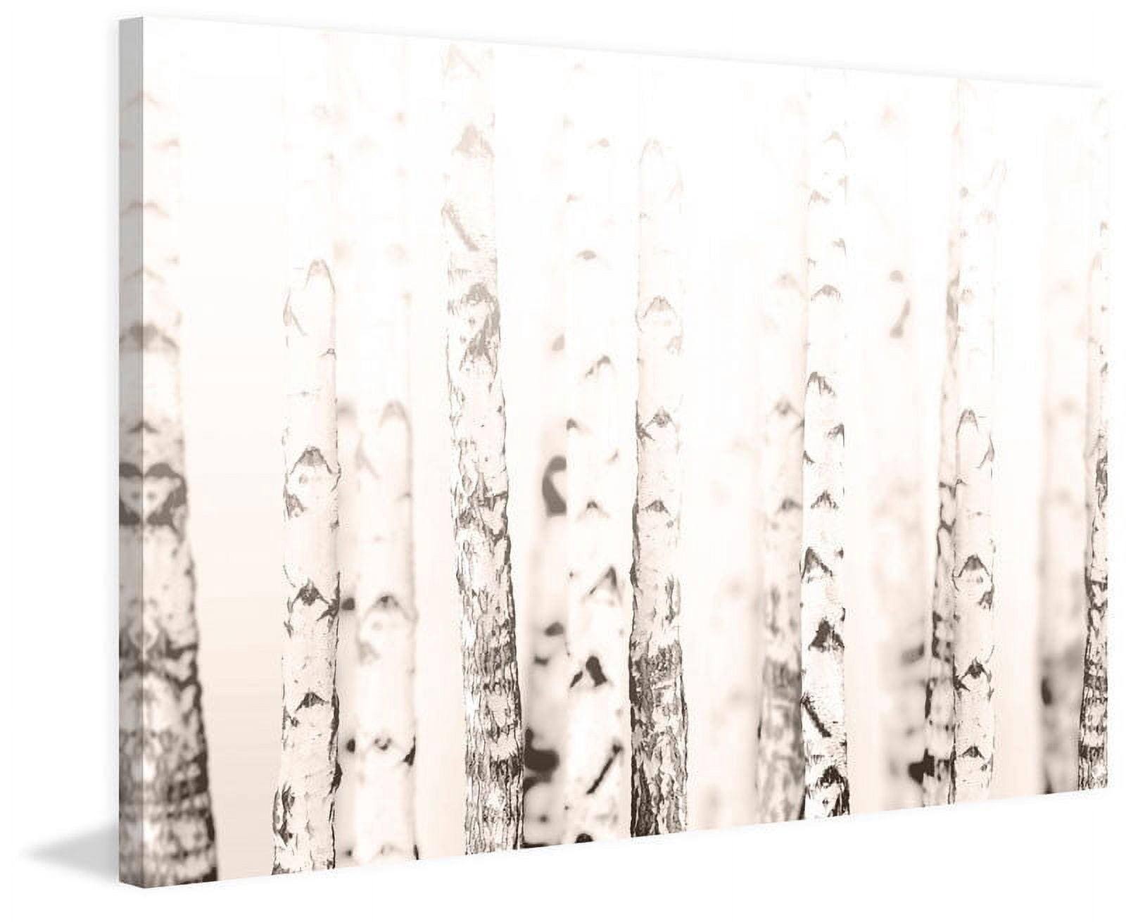 Birchwood Painting Print on Wrapped Canvas
