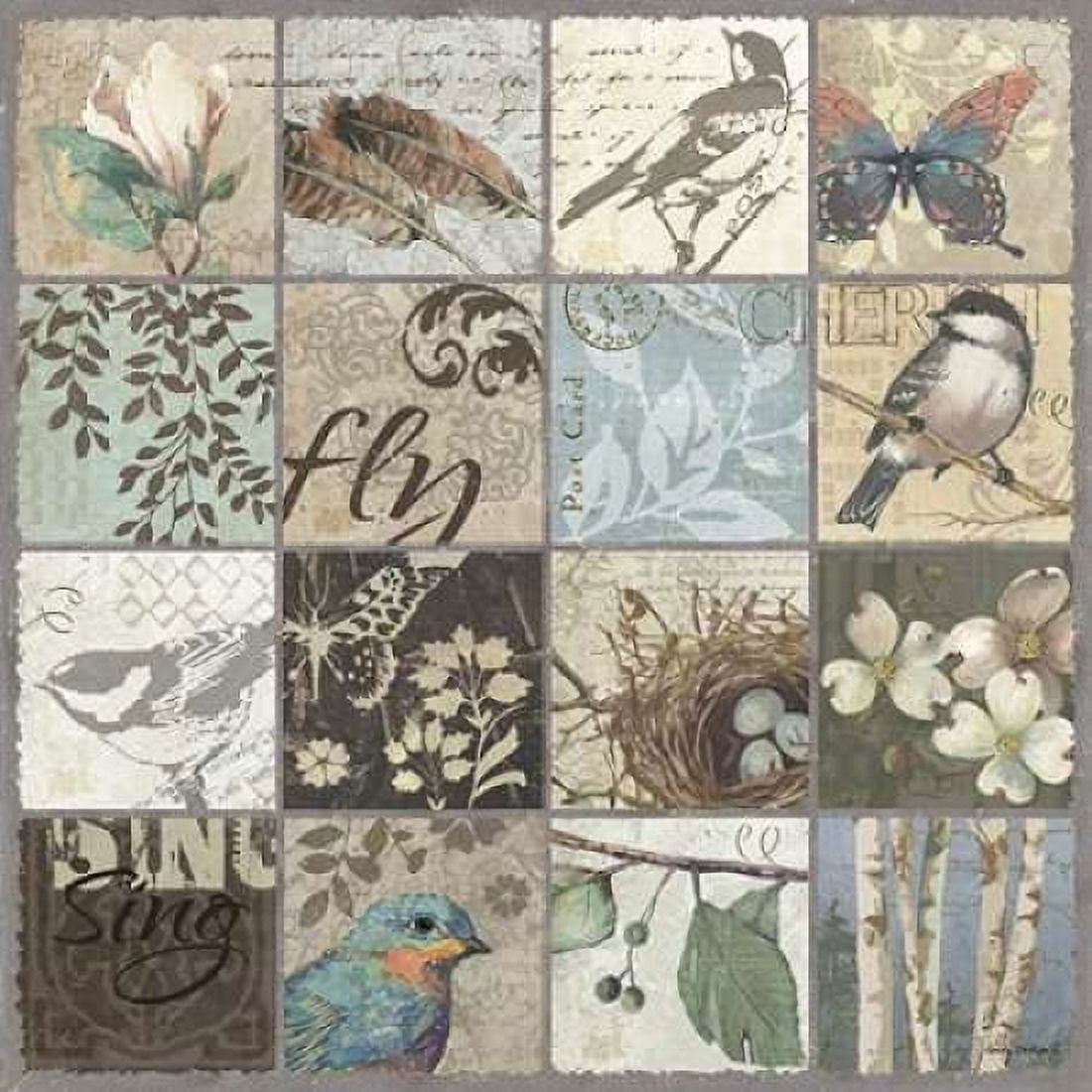 Bird 16 Patch II Canvas Art - Anita Phillips (24 x 24)