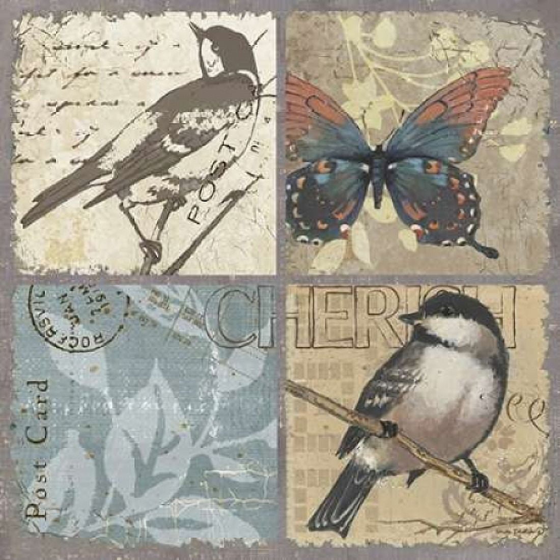 Bird 4 Patch II Canvas Art - Anita Phillips (24 x 24)