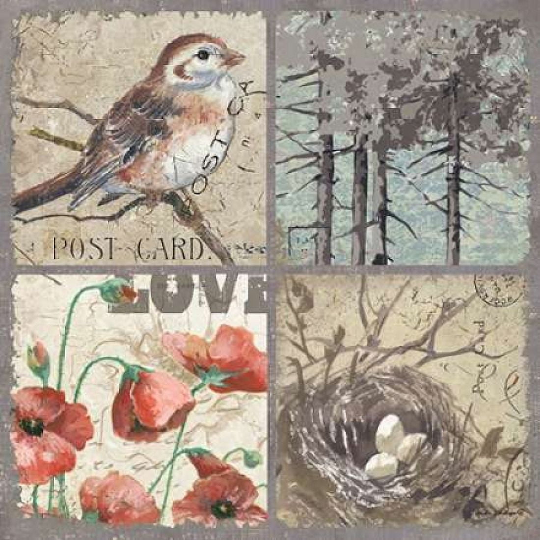 Bird 4 Patch III Canvas Art - Anita Phillips (24 x 24)