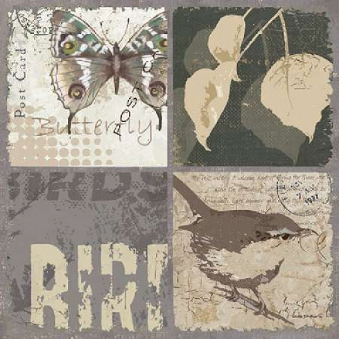 Bird 4 Patch V Canvas Art - Anita Phillips (24 x 24)
