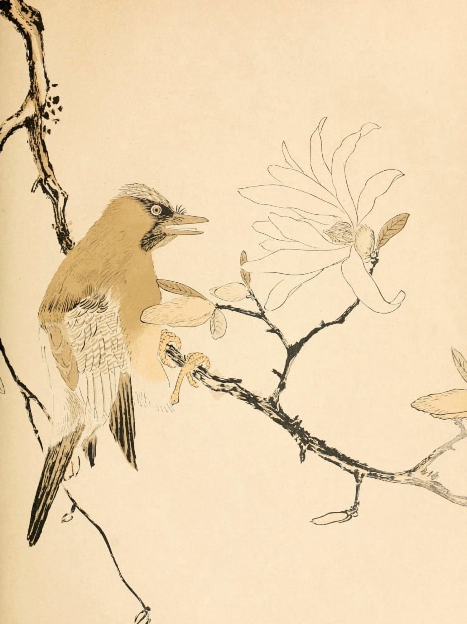Bird Artistic Japan 1891 Canvas Art - Unknown (18 x 24)