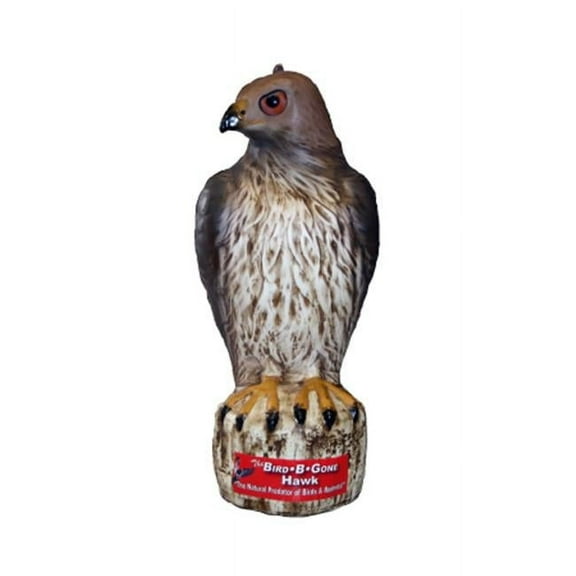 Bird B Gone Hawk Decoy