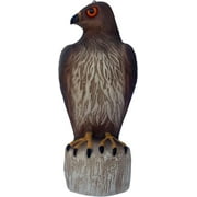 Bird B Gone Plastic Hawk Decoy to Scare Birds Away, Bird Deterrent Devices Outdoor, 16 Inch Fake Hawk Statue, Natural Bird Scarecrow for Garden