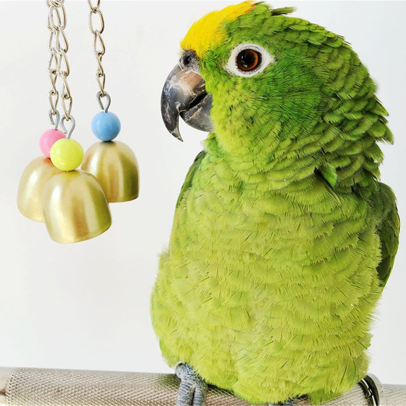 Bird B^ite Pet Toy Parrot African Greys Budgie Lovebird Cage Hanging