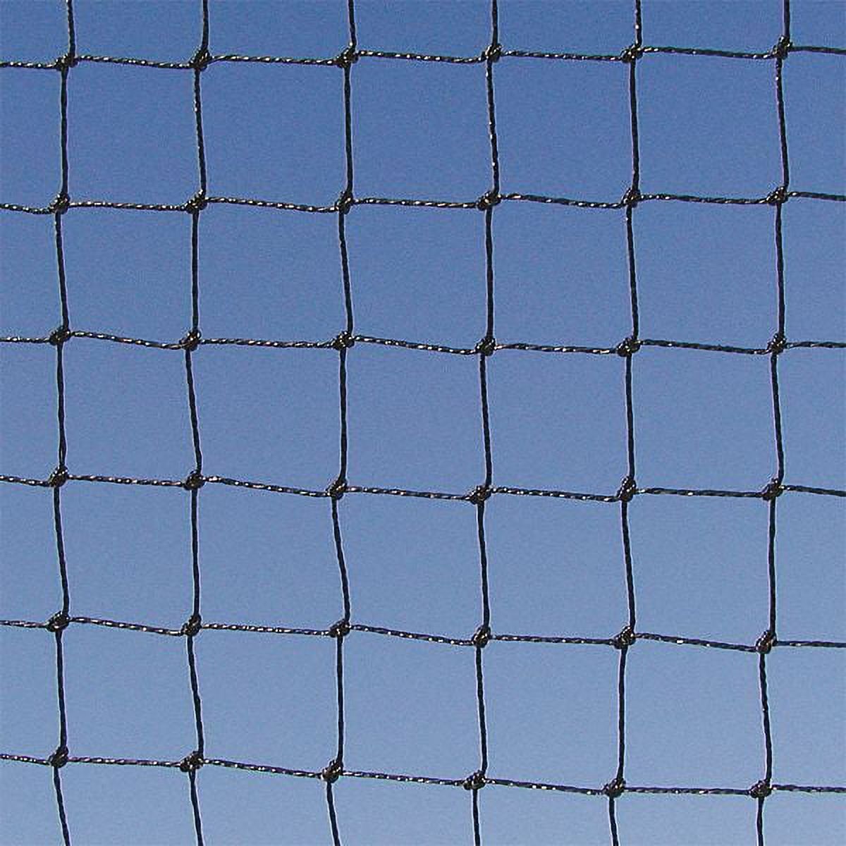 Bird Barrier Bird Repellent Netting,75 ft. L,12.6 lb. n1b130