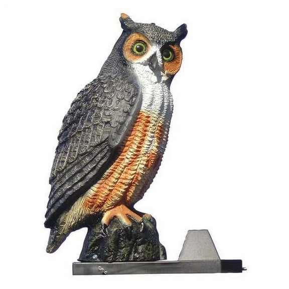 Bird Barrier Screech Decoy,22 in H,Brown/White SD-OWL1