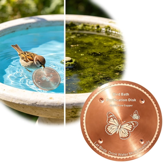 Bird Bath Purification Disk, 4" Pure Copper Water Cleaner, Chemical-Free Water Purifier, For Outdoor Bird Bath & Feeders(Rose Gold)