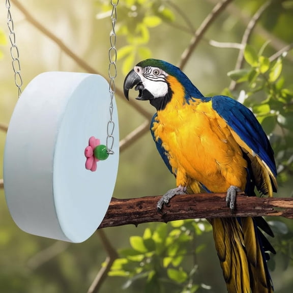 Bird Beak Grinding Stone  Blue Cylinder Parrot Chew Toy with Metal Hanging Chain  Cage Accessory for Macaws, African Greys, Cockatiels & Birds