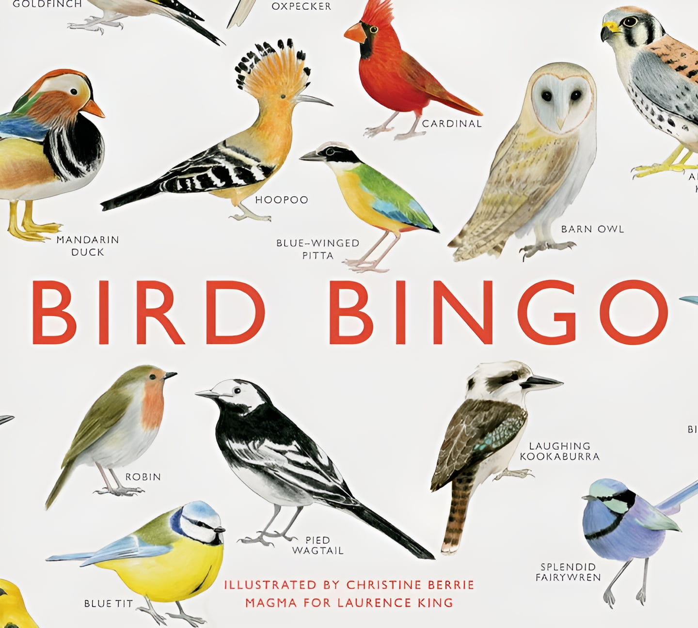 CHRISTINE BERRIE Bird Bingo (Other)