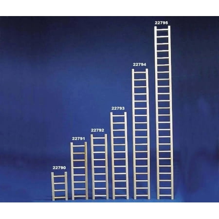 Bird Brainers Parrot Ladder Beige