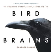 Bird Brains The Intelligence of Crows, Ravens, Magpies, and Jays, Paperback