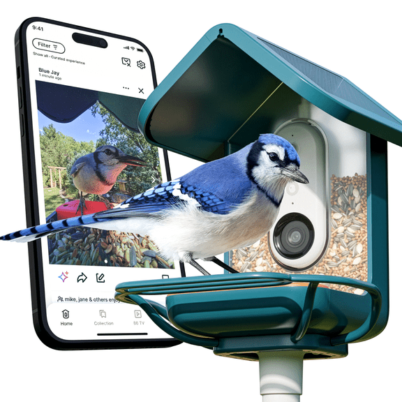 Bird Buddy Smart Wifi Bird Feeder with Camera, AI Bird Identification, Solar Powered Weatherproof, HD Video, Includes Blue Perch Extender