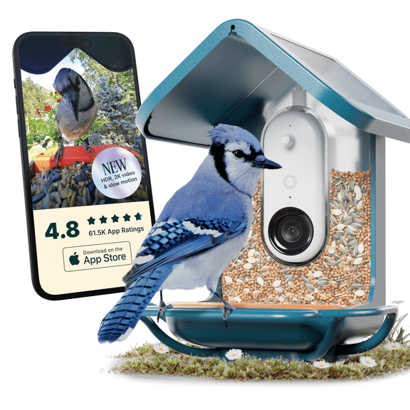 Birdbuddy Durable & Weatherproof Pro Solar Bird Feeder with Outdoor Bird Perch Extender