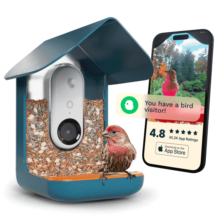 Birdbuddy ソーラールーフ付スマートバードフィーダー Bird Buddy Smart Bird Feeder with Camera, AI Bird Identification