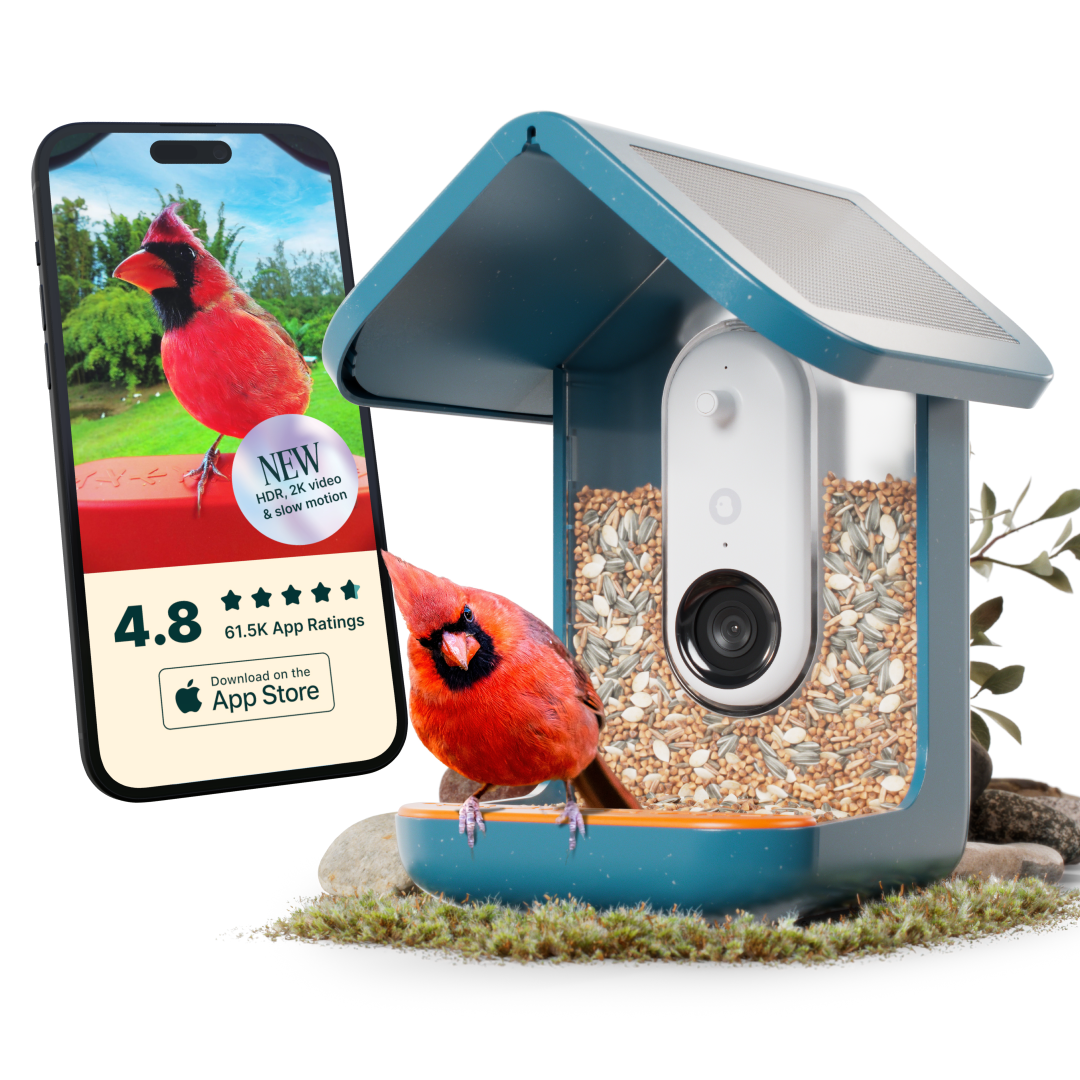 Birdbuddy ソーラールーフ付スマートバードフィーダー Bird Buddy Pro Solar Smart Bird Feeder, Camera, AI Bird ID