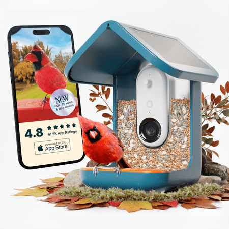 Bird Buddy - Smart Bird Feeder with Solar Roof (Pro Camera Version) - Blue