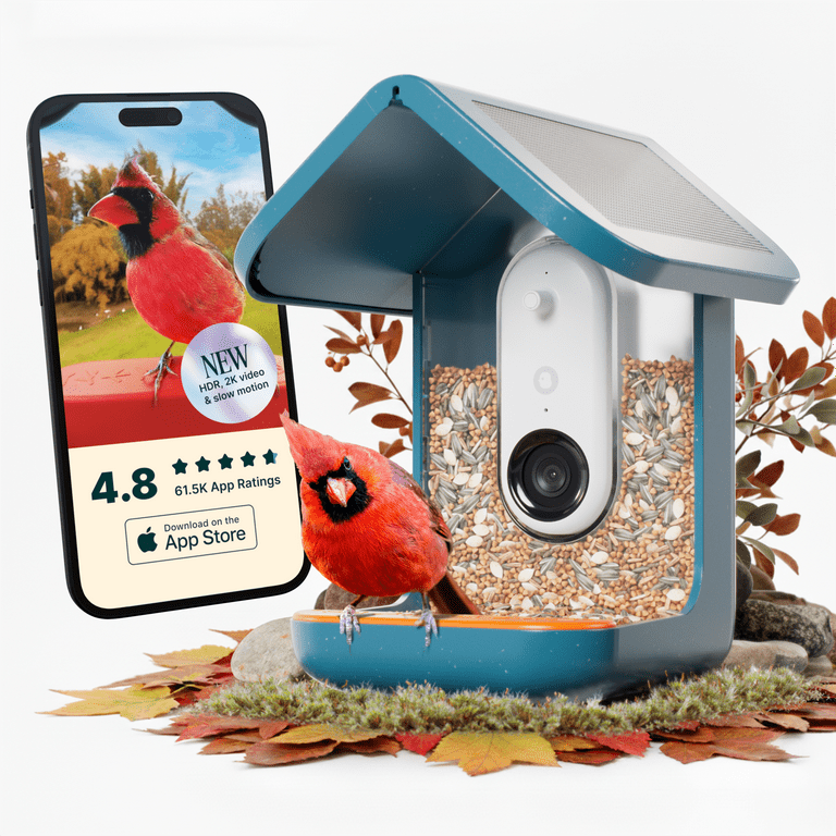 Bird Buddy Pro Solar Smart Bird Feeder, Camera, AI Bird ID, HD+