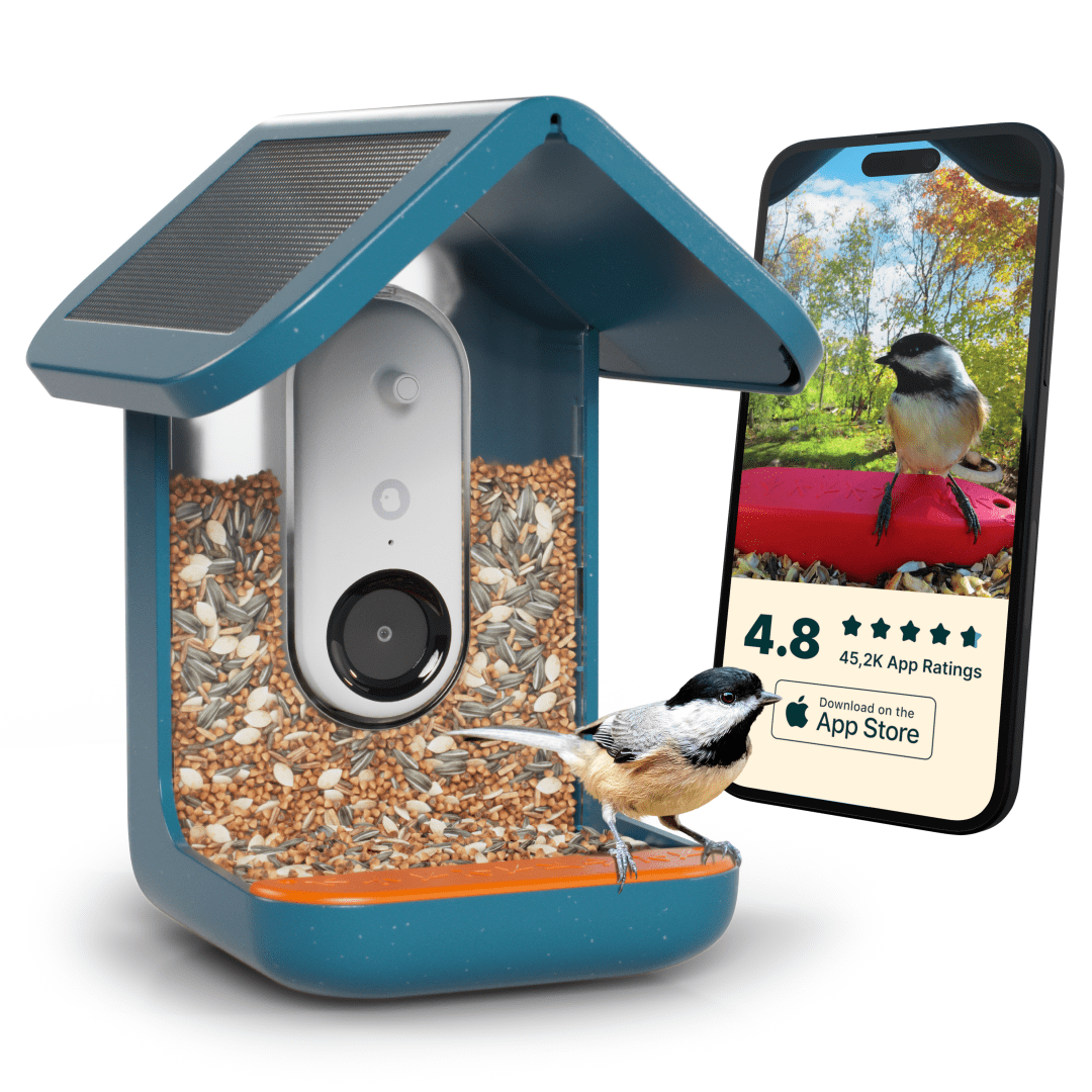 Blue Solar-Powered Smart Bird Feeder with Camera