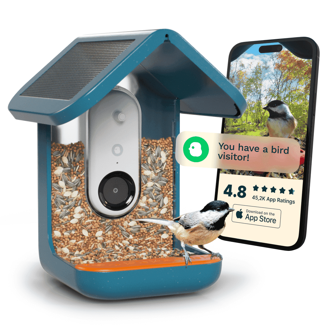 Blue Solar-Powered Smart Bird Feeder with Camera