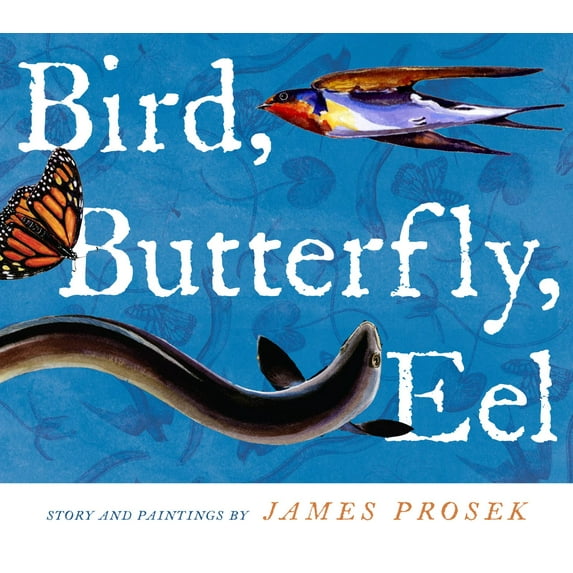 Bird, Butterfly, Eel (Hardcover)