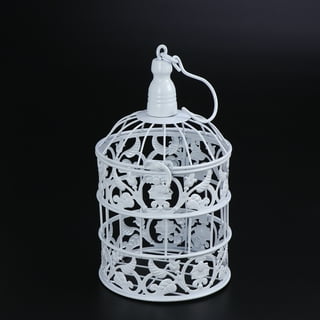 Decorative Metal Bird Cage - Set of 2