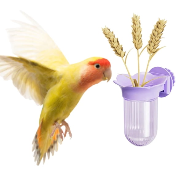 Bird Cage Feeder for Vegetable, Parrot Veggies Holder with Water-Storage Design to Keep Greens Fresh, No Mess Hanging Parrot Feeder, Quick Clean Clip, No Spill Feeders for Conures