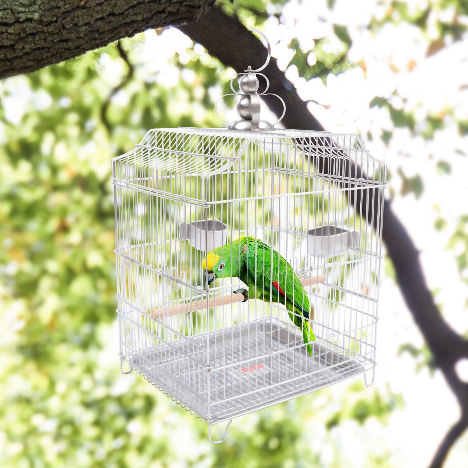 Pet bird supply deals
