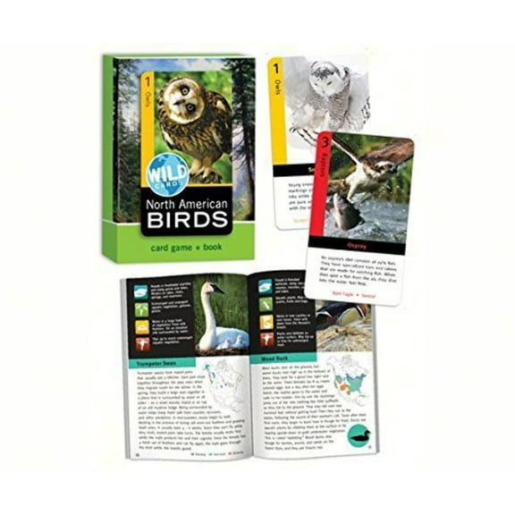 Bird Cage Press BCP315 North American Birds Wild Cards