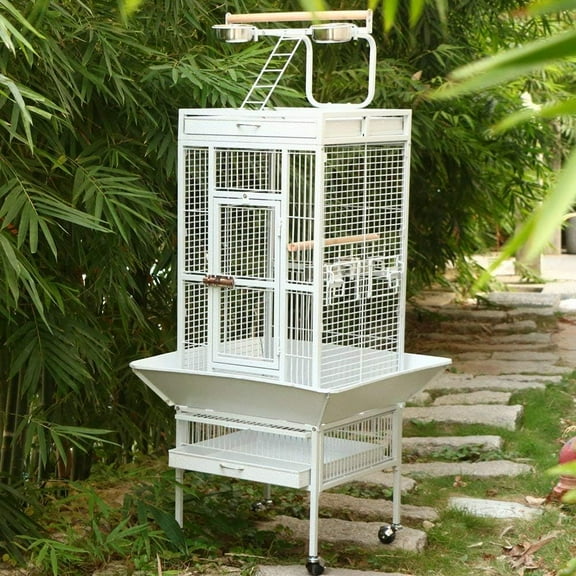 Bird Cages for Cockatoo & Sunconure