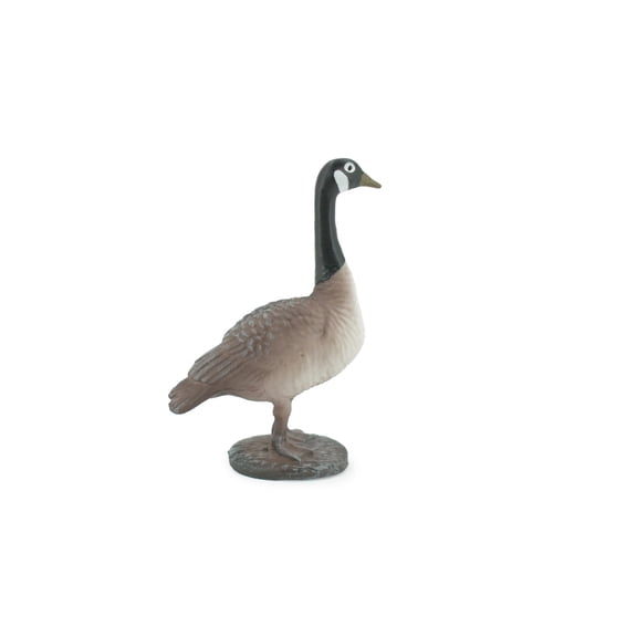 Bird, Canada Goose, Honker, Museum Quality, Hand Painted, Rubber, Realistic, Figure, Model, Replica, Toy, Kids, Educational, Gift, 3" CH640 BB168