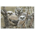 thumbnail image 1 of Bird Ceramic Tile Mural Kitchen Backsplash Bathroom Shower, 402036-L64, 1 of 3