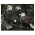 thumbnail image 1 of Bird Ceramic Tile Mural Kitchen Backsplash Bathroom Shower, 402067-M54, 1 of 3