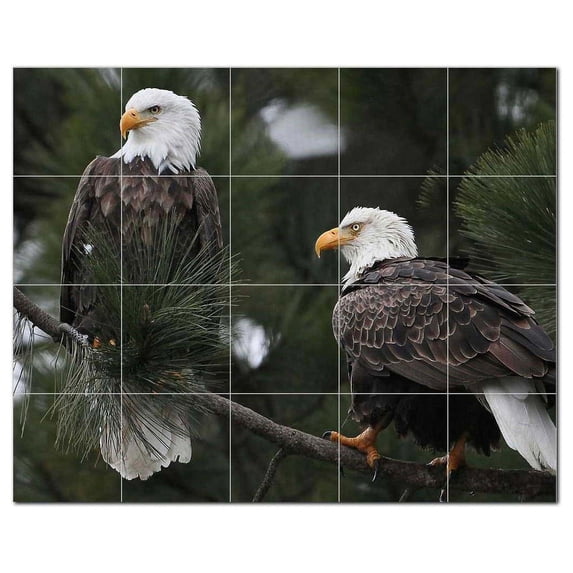 Bird Ceramic Tile Mural Kitchen Backsplash Bathroom Shower, 402067-M54