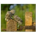 thumbnail image 1 of Bird Ceramic Tile Mural Kitchen Backsplash Bathroom Shower, 402104-M54, 1 of 3