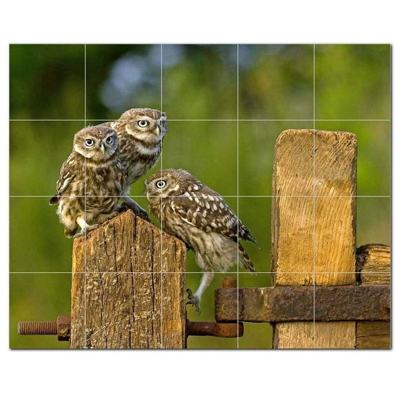 Bird Ceramic Tile Mural Kitchen Backsplash Bathroom Shower, 402104-M54