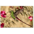 thumbnail image 1 of Bird Ceramic Tile Mural Kitchen Backsplash Bathroom Shower, 402125-L64, 1 of 3