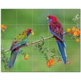 thumbnail image 1 of Bird Ceramic Tile Mural Kitchen Backsplash Bathroom Shower, 402127-S54, 1 of 3