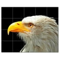 thumbnail image 1 of Bird Ceramic Tile Mural Kitchen Backsplash Bathroom Shower, 402165-L54, 1 of 3