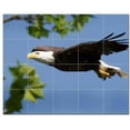 thumbnail image 1 of Bird Ceramic Tile Mural Kitchen Backsplash Bathroom Shower, 402171-M54, 1 of 3