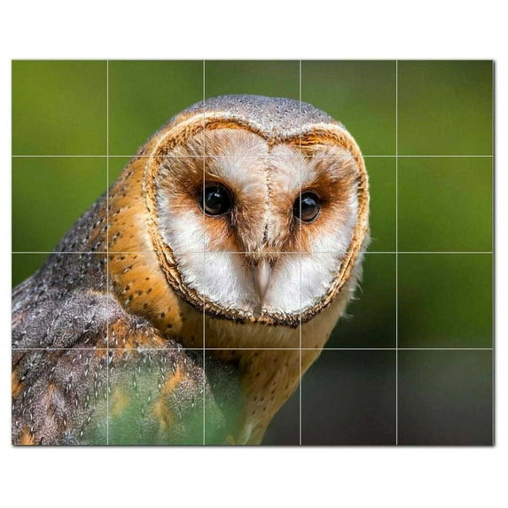 Bird Ceramic Tile Mural Kitchen Backsplash Bathroom Shower, 402174-M54