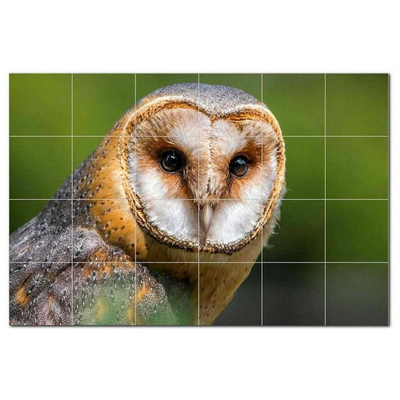 Bird Ceramic Tile Mural Kitchen Backsplash Bathroom Shower, 402174-XL64