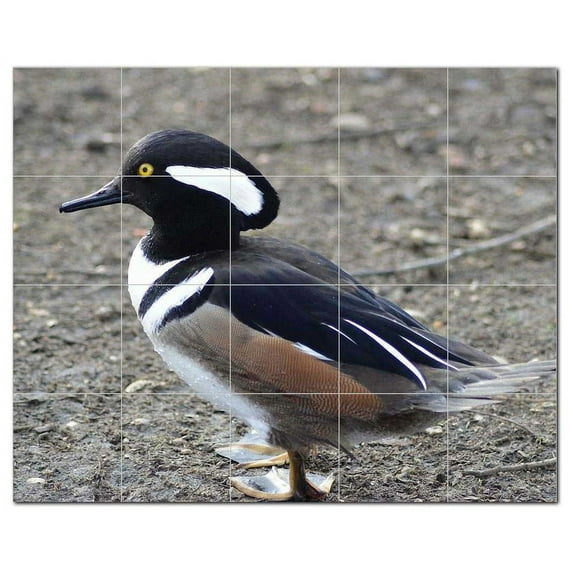 Bird Ceramic Tile Mural Kitchen Backsplash Bathroom Shower, 402197-M54