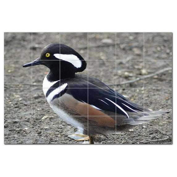 Bird Ceramic Tile Mural Kitchen Backsplash Bathroom Shower, 402197-S64