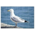 thumbnail image 1 of Bird Ceramic Tile Mural Kitchen Backsplash Bathroom Shower, 402212-L64, 1 of 3
