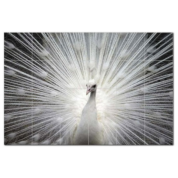 Bird Ceramic Tile Mural Kitchen Backsplash Bathroom Shower, 402236-XL64