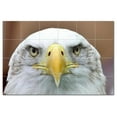 thumbnail image 1 of Bird Ceramic Tile Mural Kitchen Backsplash Bathroom Shower, 402251-M64, 1 of 3
