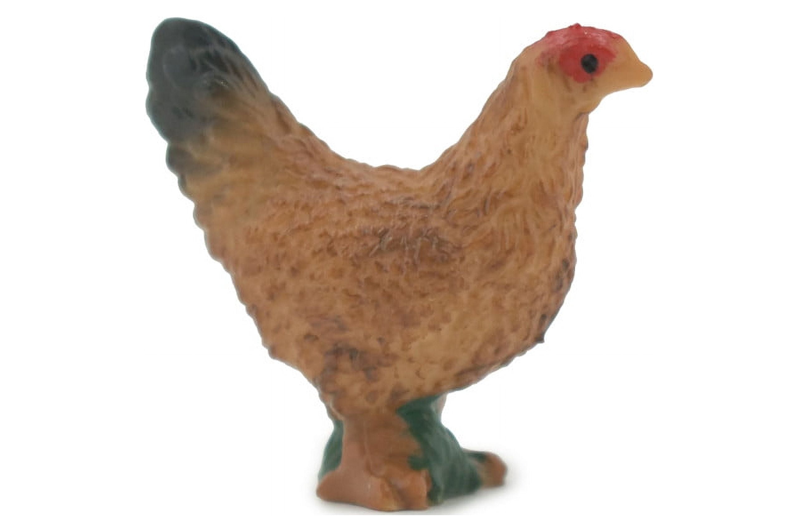 Bird, Chicken, Hen, Rhode Island Red, High Quality, Hand Painted ...
